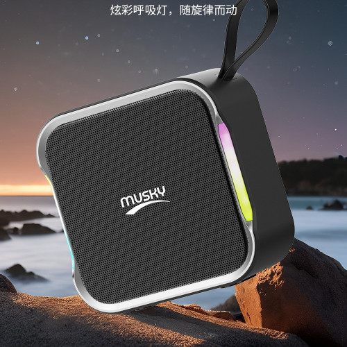DY53藍牙音響戶外廣場舞家用K歌無線話筒可攜式手提音箱一體musky
