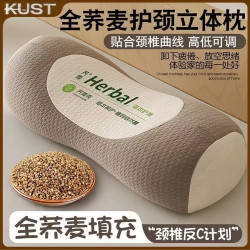 蕎麥枕頭枕芯護頸椎助睡眠圓柱熱敷三角枕單個裝成人硬高整男