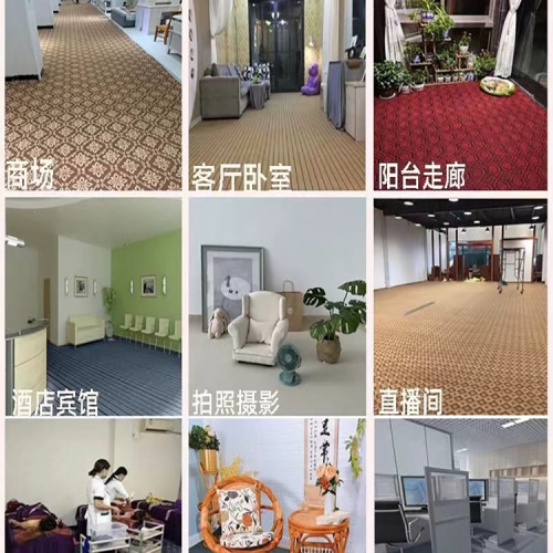 家用臥室全鋪房間地毯辦公室商用地墊大面積攝影棚自由裁剪出租屋
