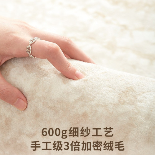 地毯客廳2025新款奶油臥室地墊家用沙發防水防汙輕奢感天津