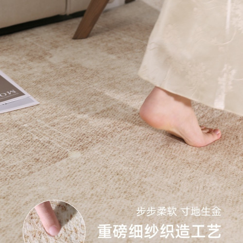 地毯客廳2025新款免洗可擦沙發地墊家用輕奢感臥室床邊毯天津
