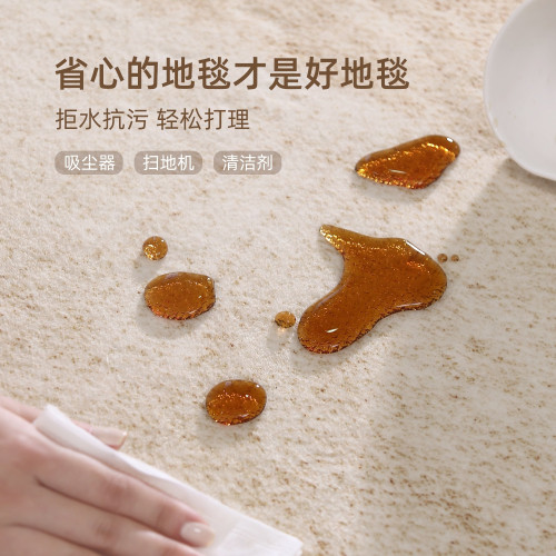 地毯客廳2025新款免洗可擦沙發地墊家用輕奢感臥室床邊毯天津