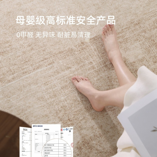 地毯客廳2025新款免洗可擦沙發地墊家用輕奢感臥室床邊毯天津