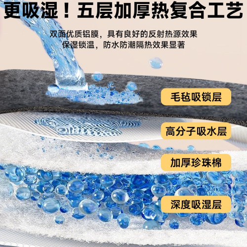 大學生宿舍防潮墊防溼防黴防蟎隔髒墊床上用隔潮毛氈墊子四季加厚