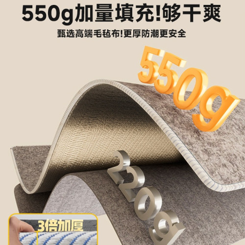 大學生宿舍防潮墊防溼防黴防蟎隔髒墊床上用隔潮毛氈墊子四季加厚