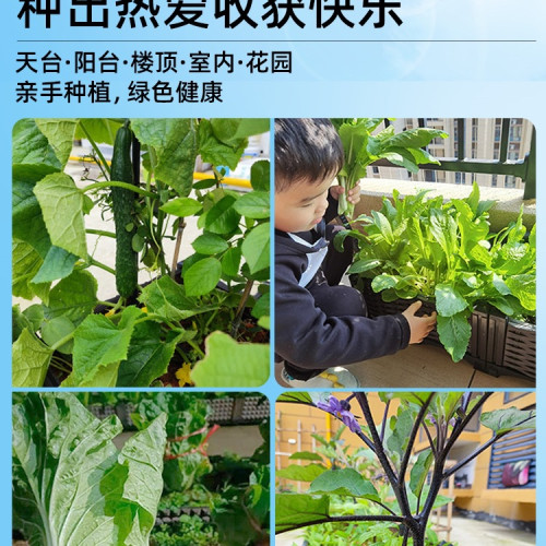 30花箱種植箱戶外庭院家用花盆塑膠大號蔬菜方形種菜箱陽台