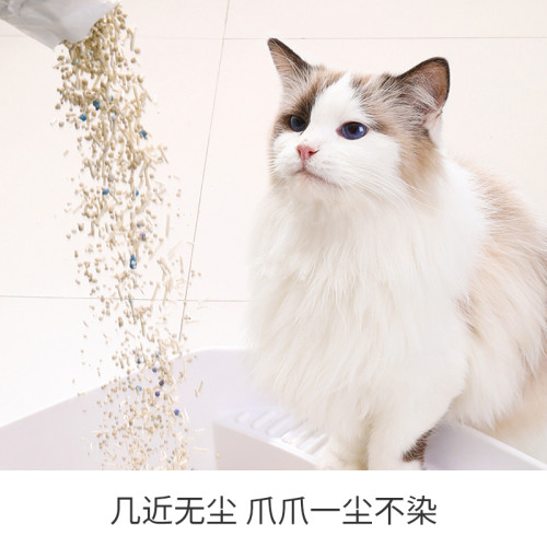 PETSHY白茶幼貓2.5kg*8包膨潤土