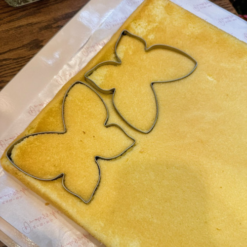 抱抱醬同款美麗蝴蝶烘焙小號diy模具不鏽鋼烘焙模具繙糖壓模工具