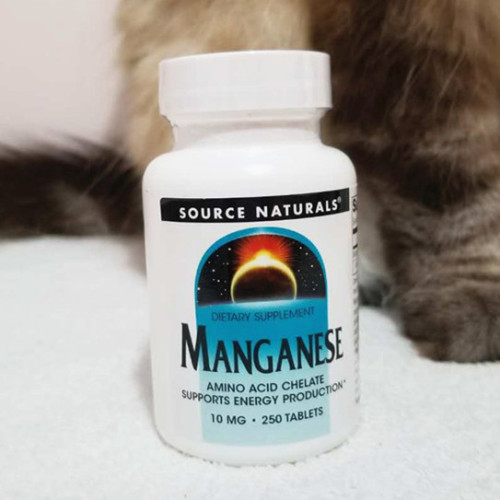 【多省包郵】大瓶分裝*美國Source Naturals錳片貓犬生骨肉熟自制