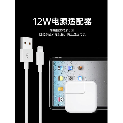 蘋果Mini平板手機充電器