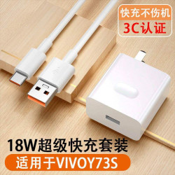 雷尅士適用vivoY73s數據線18W瓦充電器頭y73s手機雙引擎閃充快充插頭手機閃充y73數據線一73s充電器y73s充電