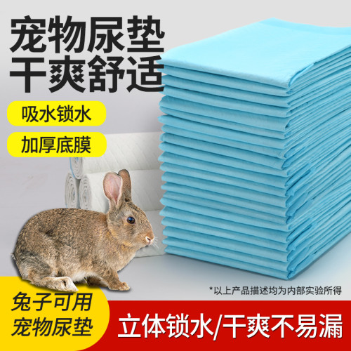 兔子尿墊寵物兔用尿不溼紙尿佈兔籠隔尿墊片一次性兔子用品