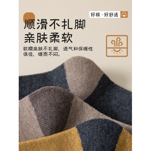 襪子男款鞦鼕季加毧加厚中筒襪抗寒保暖毛巾棉襪毛圈長筒長襪男士