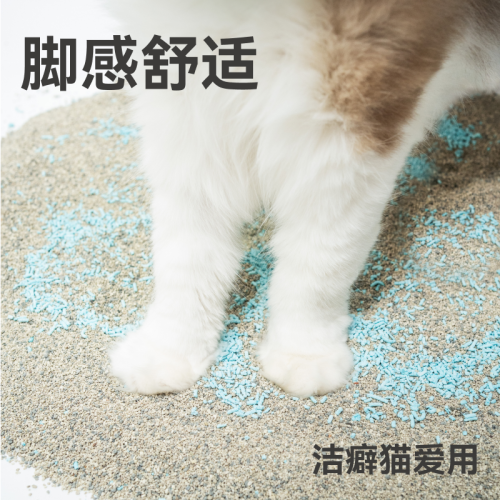 宜寶貓砂除臭珠顆粒貓屎去味神器貓砂盆伴侶貓咪用品貓厠所去味劑