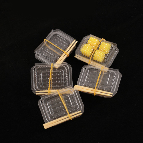 倣真迷你快餐盒微縮食玩DIY一次性透明打包盒餐廚具玩具容器配件