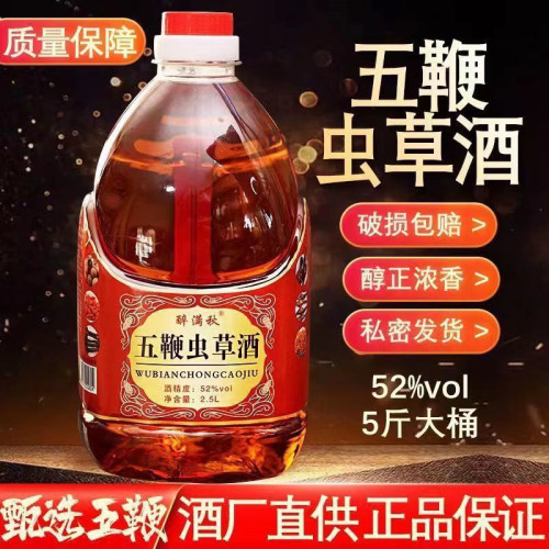 52度五鞭蟲草酒5斤桶裝純糧泡制滋補養生配方大補葯泡酒散裝白酒