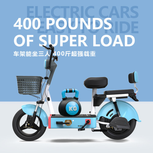泡泡新國標電動車新款成人48V可上牌照電動自行車兩輪小型電瓶車