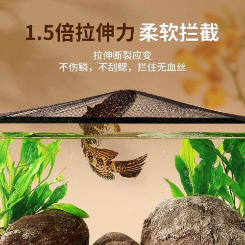 yee魚缸防跳網魚缸罩防逃雷龍防跳異寵防逃谿流缸防跳網隱形磁吸