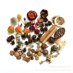 【各種果實類乾花】聖誕果實類裝飾品乾花乾果植物果實DIY橡果