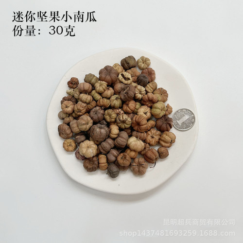 【各種果實類乾花】聖誕果實類裝飾品乾花乾果植物果實DIY橡果