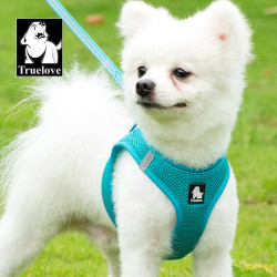 TRUELOVE幼犬泰迪狗狗牽引繩