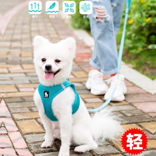 TRUELOVE幼犬泰迪狗狗牽引繩