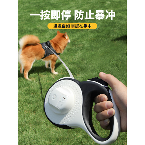 帶燈自動伸縮泰迪柯基狗狗牽引繩
