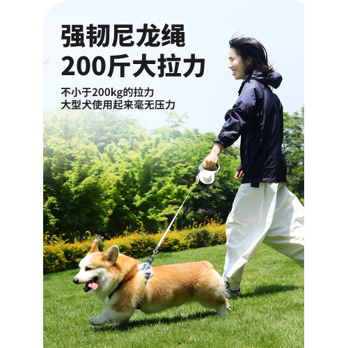 帶燈自動伸縮泰迪柯基狗狗牽引繩