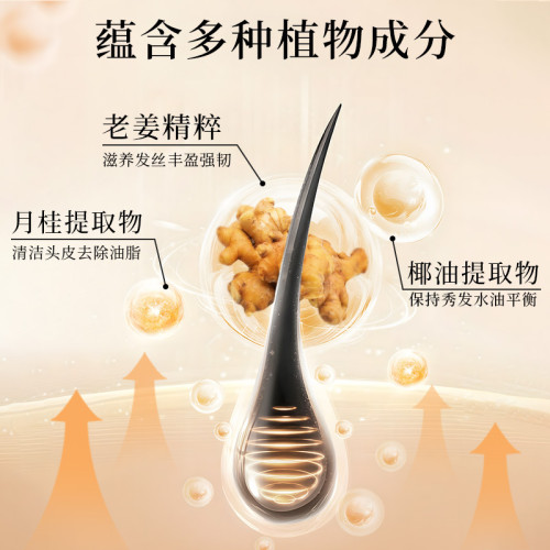 洗發水國貨老牌洗理發店洗發水洗發露去屑止癢洗發水洗發露