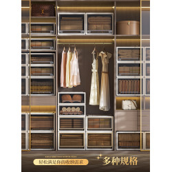 抽屜式塑料內衣分層櫃子收納箱