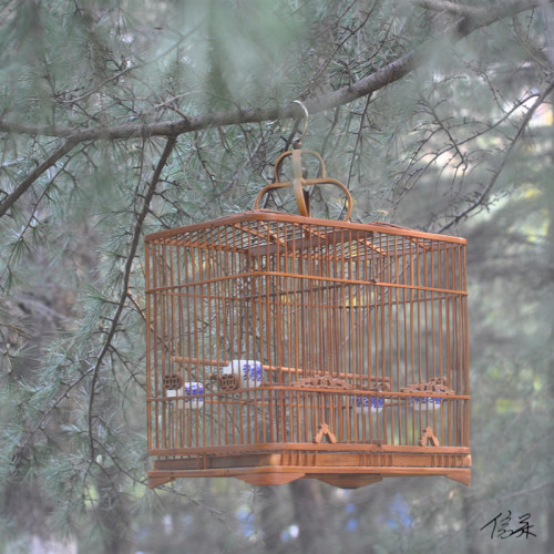 竹制鳥籠大全排籠玉鳥黃豆竹制鳥具手工相思鳥新款竹籠竹子