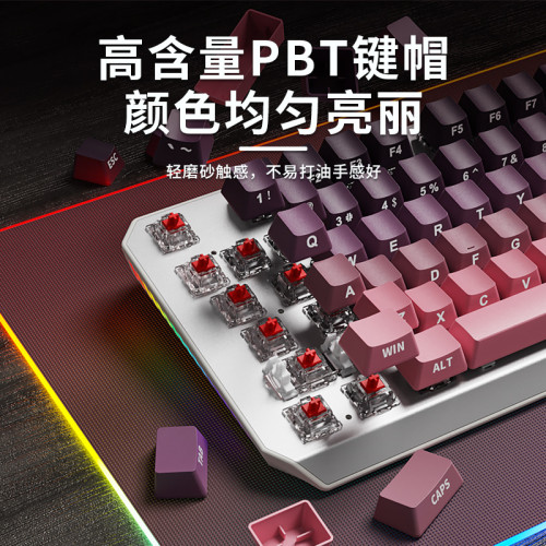 前行者機械鍵磐有線87鍵遊戯電競茶軸無線藍牙電腦遊戯辦公高顔值