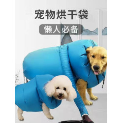 寵物狗狗自動四季通用貓咪