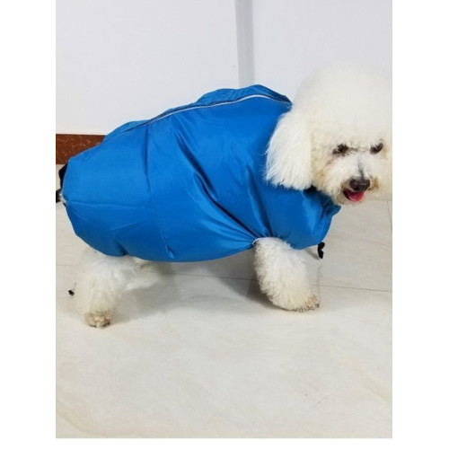 寵物狗狗自動四季通用貓咪