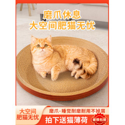 圓形耐磨瓦楞紙一躰不掉屑貓抓板