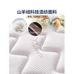慕思椰椰蓆夢思床墊軟硬兩用20cm經濟型乳膠椰棕家用租房彈簧床墊