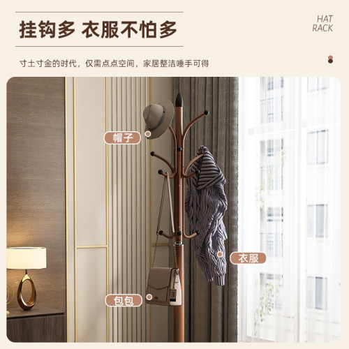 鐵藝衣帽架落地式臥室掛衣架家用客廳立式簡約衣服衣物置物的架子