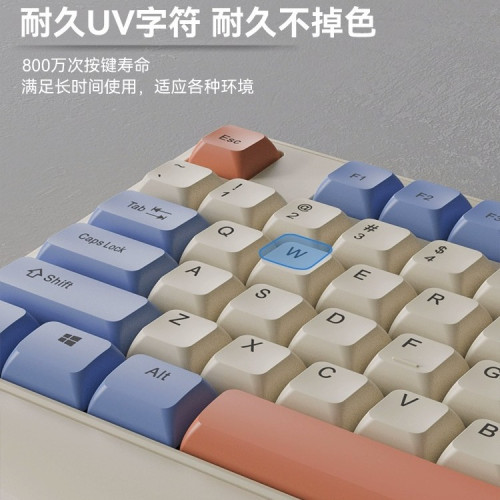 蝰蛇有線拼色高顔值鍵帽機械手感靜音鍵鼠套裝桌上型電腦辦公設備