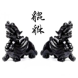 永韻 天然黑曜石貔貅擺件 一對皮丘辦公室客廳大小號貔恘擺飾